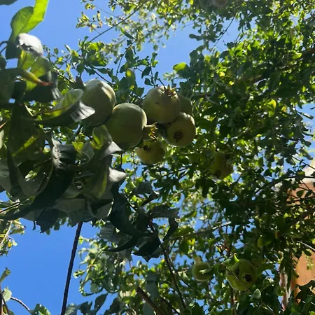 Hostl - Beds & - The Paphos, Old Town Vandrerhjem