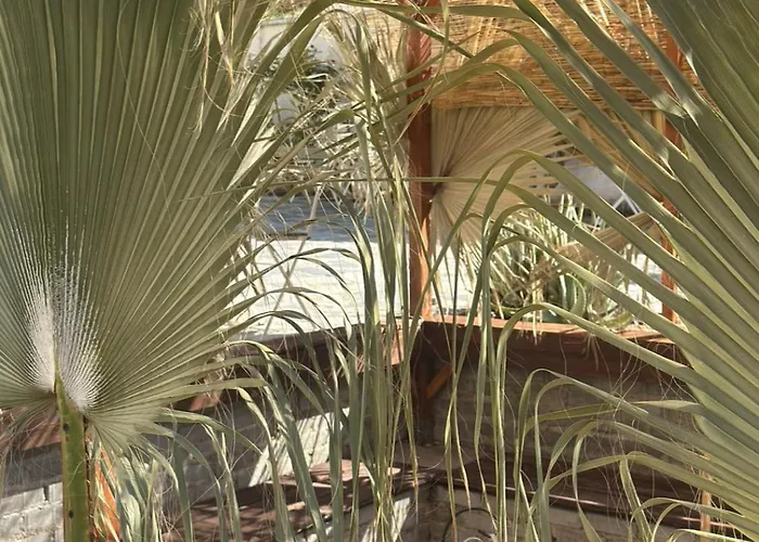 Hostl - Beds & - The Paphos, Old Town *