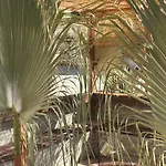 Hostl - Beds & - The Paphos, Old Town *
