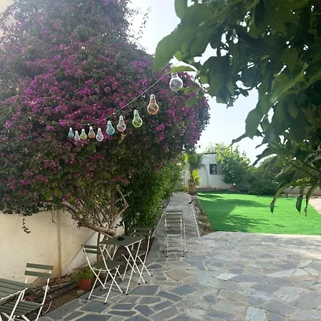 ホステル Hostl - Beds & - The Paphos, Old Town *