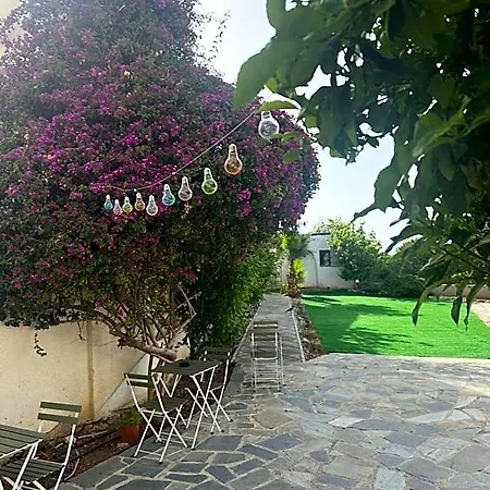 Hostl - Beds & - The Paphos, Old Town Paphos