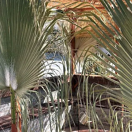 Hostl - Beds & - The Paphos, Old Town 旅馆 Paphos