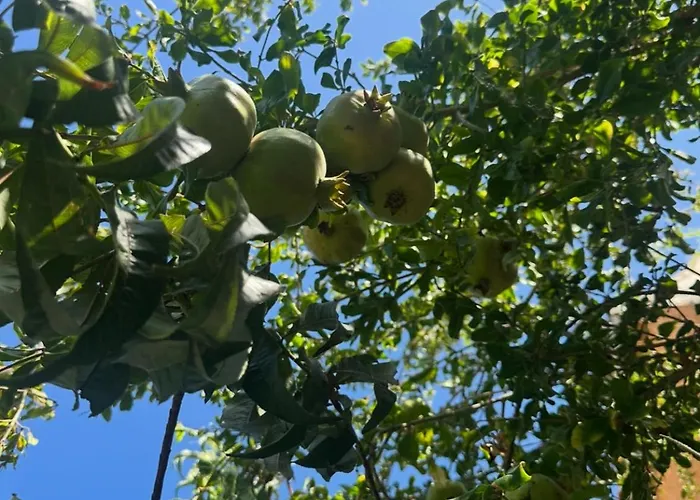 Hostl - Beds & - The Paphos, Old Town Auberge de jeunesse