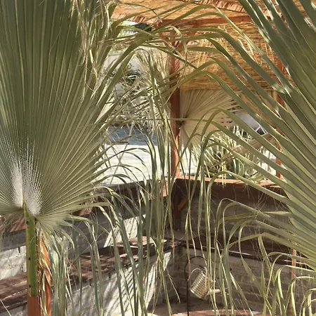 Hostl - Beds & - The Paphos, Old Town *
